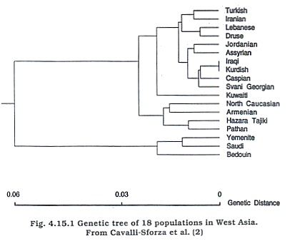 genetics.gif