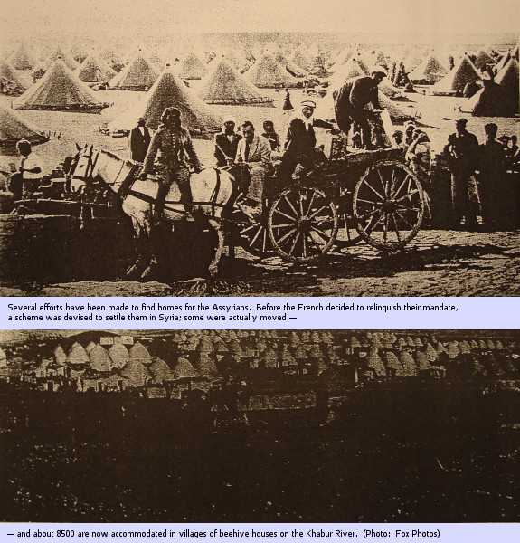 Assyrians