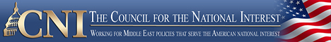Council for the National Interest (CNI)