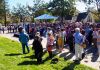 Unveiling of the Assyrian sculpture "Shlama" on April 01, 2017 in Los Altos, California.  (Photo: City of Los Altos)